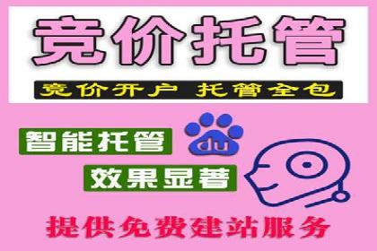 某某sem代运营公司：打造高效广告投放的秘诀